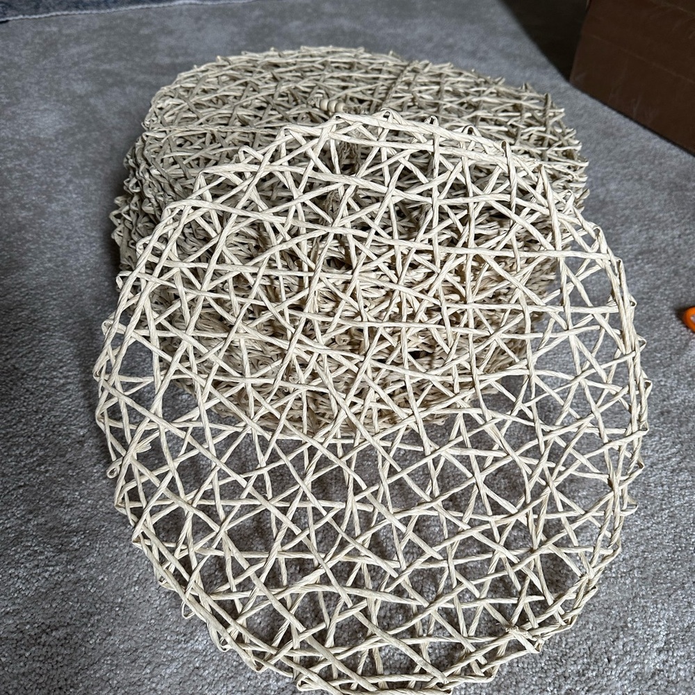 Woven Beige Placemats Set